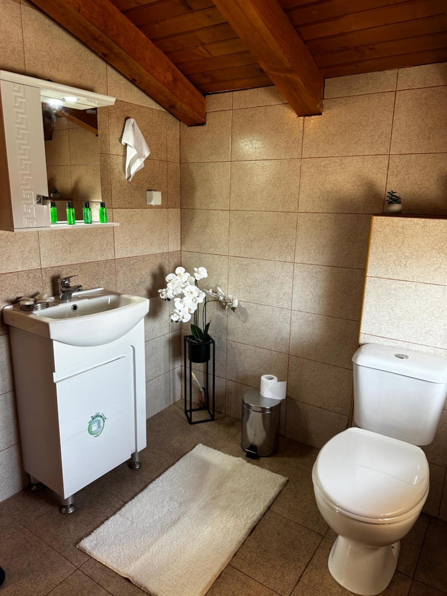 Snow House Hotel Bansko Luaran gambar